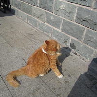 ���ݾ��������������Ҹ���