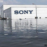 ϸ�����2011��ҵ���ſ���