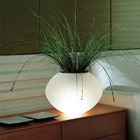 �������ǿ�����