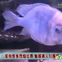 ʵ�Ĺ�������촽 �Ȼ�������Χ��