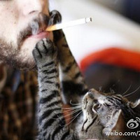 С��~ ����̫�з�������~~