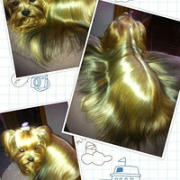 С2�Ӹ�Ц����2����������ᣡ