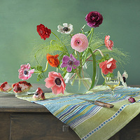 ԭ���ҵ���ÿ�����������Ӱ