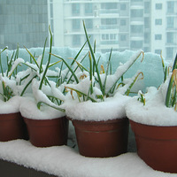 �������ˣ�һ��������08��Ĵ�ѩ�ɡ�����ɽˮС����