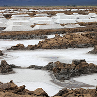 �����û�м������������������