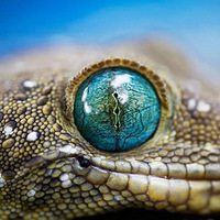 ������Ӱ ˬ������