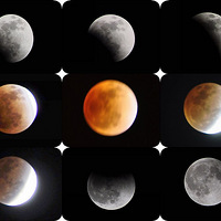 ��ȫʳ-2011.12.10������