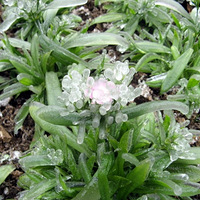 ����һҹ����27��