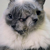 ������ʱ������־����2011��������˾���ͼƬ