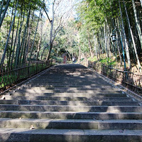 ��ĩ������������