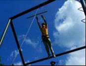 12��24�յ���ժ��ݮ���{�[��ƽ��ҹK���g����������23�ţ�