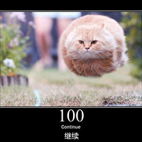 ��è��������HTTP�������