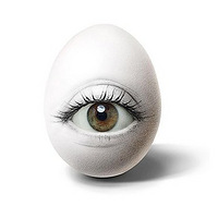 ��ҵ�����ؾ�֮·���Ӵ����ҵ���������