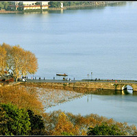 ������ɫ