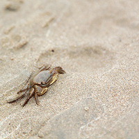 ˭˵Ǯ����ɳ̲