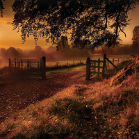 ������Ӱ��Ʒ����