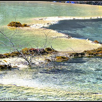 �˼�����--����