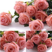 һ���Ҹ�Ů�˵Ķ��Ұ������