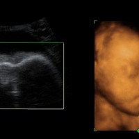 ʡ����˳����