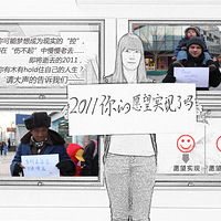 2011�����Ը��ʵ������