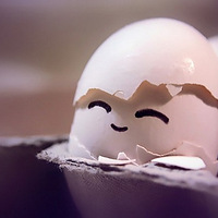 Ԫ����������~  O(��_��)O~