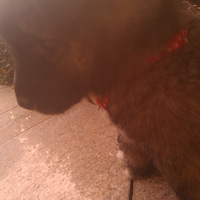 2011�����һ�����籧��һֻ�����¶��̵ġ���������������PP��