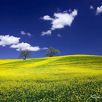 ������Ȼ��ⲻƽ������