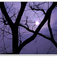 ��Ϫ�������£�����