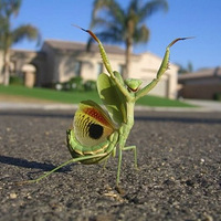 ��Ȼ���������ĳ����ȵ�ʱ��