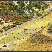 �����ߺ���ԭ---ë�롢����߳�---����