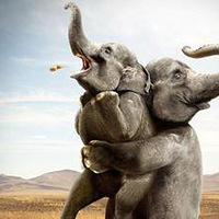 �ǳ�����Ĵ�����