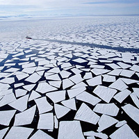 ������ͼ��ѡ ���ݴ�����