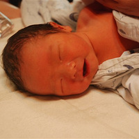 ����������֮ û���ü�������ʹ�͵��֣�������˳�����ˡ�