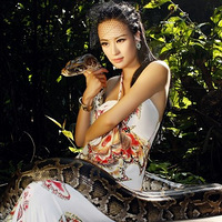 �٤��ĸ���������[ͼ]