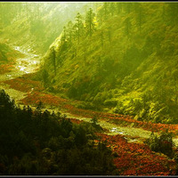 ��ʯ̲---�����϶�һ�޶�