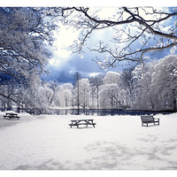 ���������������߷����µ���������