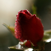 �����Ѿ��Ƕ���