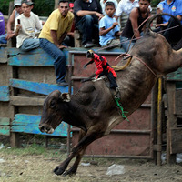 ��ʱ������ѡ2011�����11����Ƭ