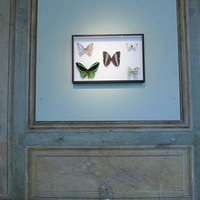 �����ĺ���װ��Ʒ