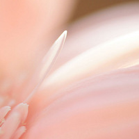 �����ֽ֮�����ƽ�