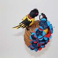 ����٣�������