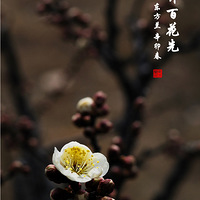 ÷���ٻ���