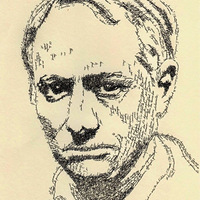 д�����Ļ���