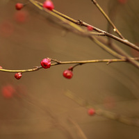 ��˭�����һͨ��������