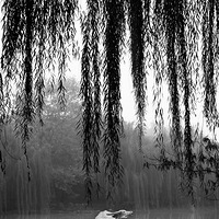 Ǯ��է����ﳤ