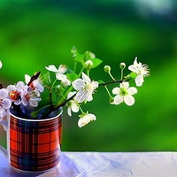 ���ǳ���ʵ��ɫ��