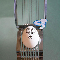 ����һֻż�����ȵĵ�(һ)