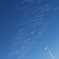 ���������������Էɻ������ʣ�д���ҵİ���