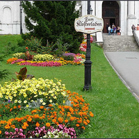 ���ղص���ͼ,�ó���ɹɹ!