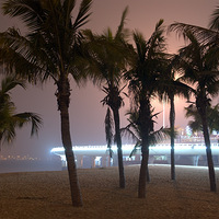 2012���ڸ�����